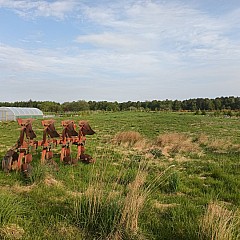 Stone Picking And New Field 02
