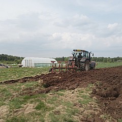 Stone Picking And New Field 05