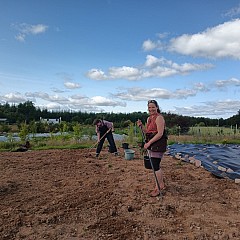 Stone Picking And New Field 08