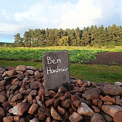 Stone Picking And New Field