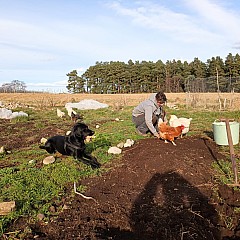 Various Photos From 2024 01