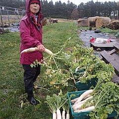 Various Photos From 2024 11