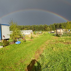 Various Photos From 2024 13