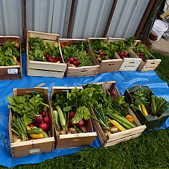 Various Photos From 2024 14